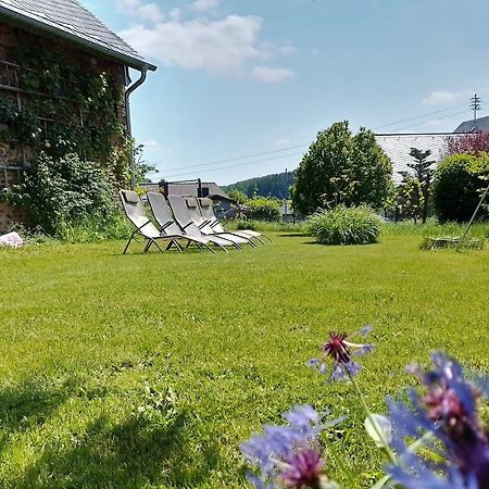 4-Sterne Ferienhaus Achat-Alm Mit E-Ladestation Vollmersbach Экстерьер фото
